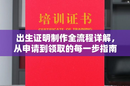 通海出生证明制作全流程详解，从申请到领取的每一步指南