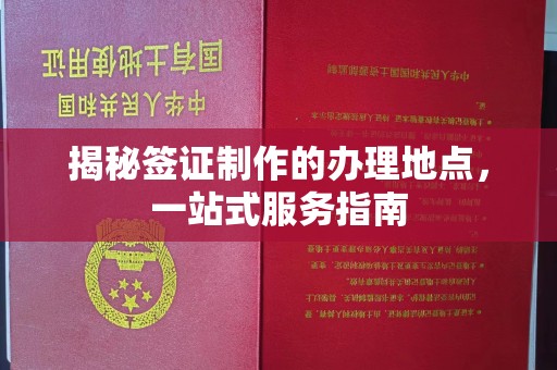 通海揭秘签证制作的办理地点，一站式服务指南