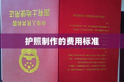 通海护照制作的费用标准