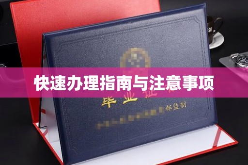 通海快速办理指南与注意事项